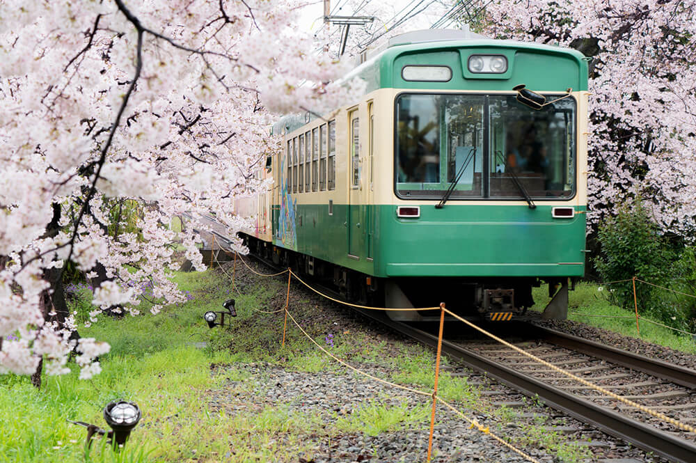 交通機関・ホテル