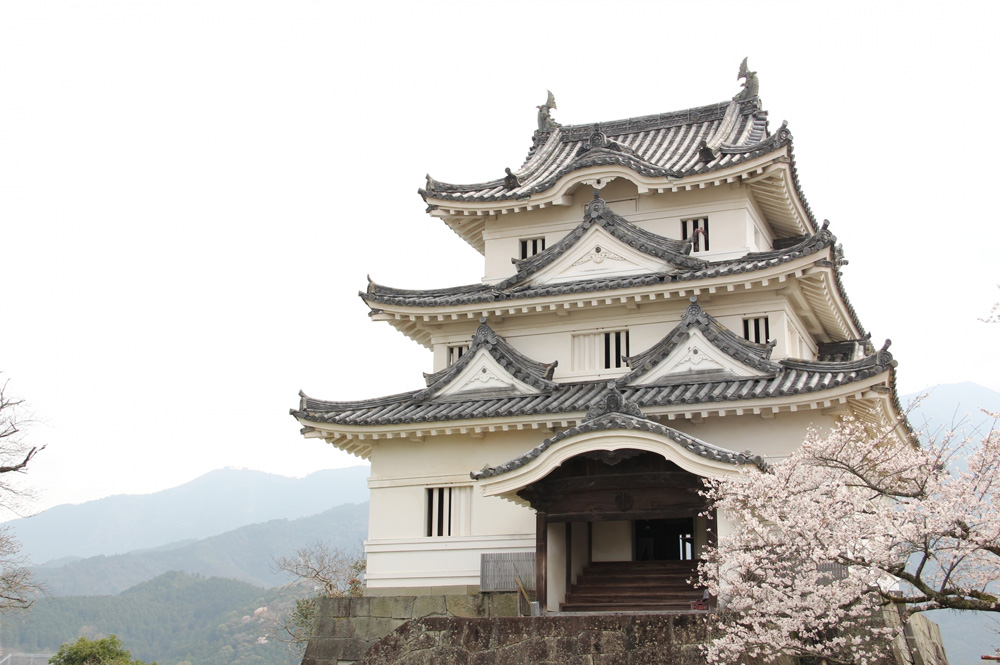 今後の成長が期待されている観光ビジネスの旅行形態